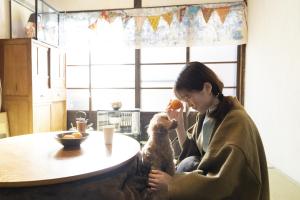 鎌倉市にあるゲストハウス 彩(イロドリ)鎌倉の犬とテーブルに座る女