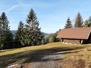 a cabin on top of a hill with trees at Blockhaustraum in Titisee-Neustadt