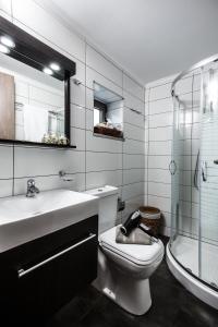 a bathroom with a toilet and a sink and a shower at M & E Kissamos sea view house in Kissamos