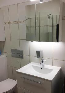 un bagno con lavandino, WC e specchio di Ferienwohnung Angelika a Degerfelden