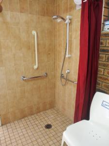 a bathroom with a shower stall and a toilet at Cobar Town & Country Motor Inn in Cobar