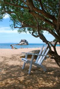 a white bench sitting under a tree on the beach at Montalay - Eco Cottage Koh Tao in Ko Tao