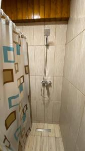 eine Duschkabine im Bad mit einer Fliesenwand in der Unterkunft Casa de lemn in Corbu