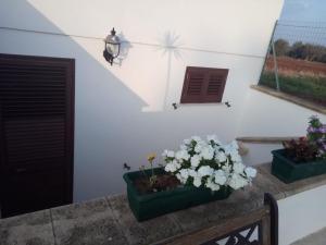 Zdjęcie z galerii obiektu Villa Rosy w mieście Nardò