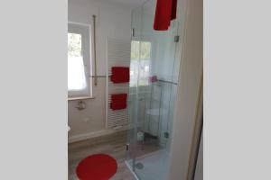 a bathroom with a glass shower with a red rug at Ferienhaus Urban mit Garage in Wimbach