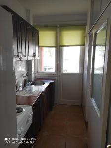 Kuchyň nebo kuchyňský kout v ubytování Apartment Bina