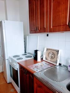 Kuchyň nebo kuchyňský kout v ubytování Apartment Bina