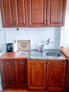 Kuchyň nebo kuchyňský kout v ubytování Apartment Bina + 13 fotografií