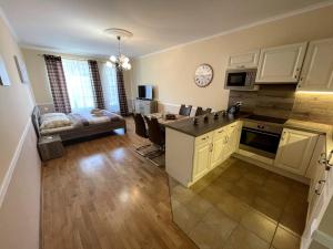 Kuchyň nebo kuchyňský kout v ubytování Apartment 122 Čertovka