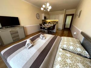 TV a/nebo společenská místnost v ubytování Apartment 122 Čertovka