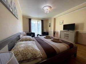 1 dormitorio con 1 cama y TV de pantalla plana en Apartment 122 Čertovka, en Karlovy Vary