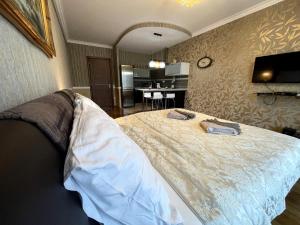 TV a/nebo společenská místnost v ubytování Apartment 122 Čertovka