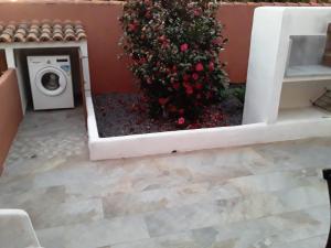 a christmas tree in a room with a washing machine at Casa Teresa in El Paso