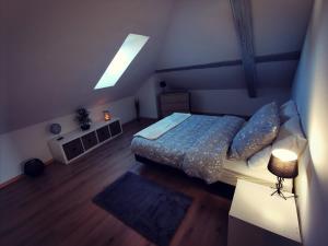 a bedroom with a large bed and a skylight at Cosy chic in Erstein +10 photos