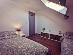 ein Schlafzimmer mit zwei Betten und einem Dachfenster in der Unterkunft Cosy chic in Erstein + 10 Fotos