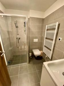 A bathroom at Apartmán LUNA Tále Chopok Jasna Juh