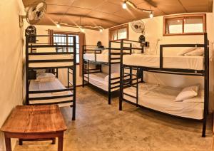 a room with a bunk bed, bunk beds, and bunk beds at Hostal Don Cenobio in Flores