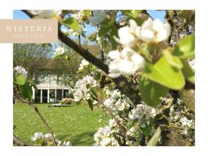 uma árvore com flores brancas em frente a uma casa em Wisteria Guest House em Villers-lʼÉvêque