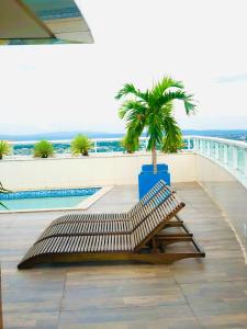 a palm tree sitting on top of a building at flat kariris de luxe in Juazeiro do Norte