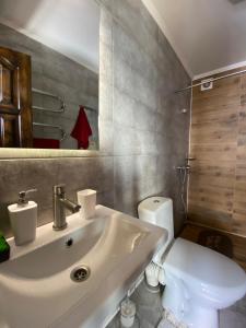 a bathroom with a white sink and a toilet at AGORA Chalet in Slavske