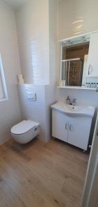 Koupelna v ubytování Apartman Galija 1