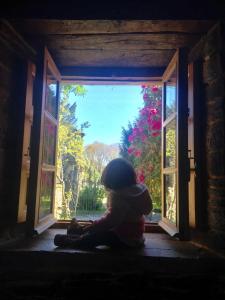 a teddy bear sitting in front of an open window at Casa Ferreiro - Campo da Cruz - Lugo in Baltar