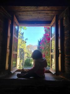 un osito de peluche sentado frente a una ventana abierta en Casa Ferreiro - Campo da Cruz - Lugo, en Baltar