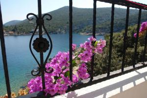 a bunch of pink flowers on a balcony overlooking a lake at Apartments Nikola 5m from beach in Selca kod Bogomolja