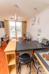 伊基克阿波罗卡弯查公寓的相册照片