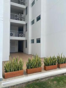 Budova, kde se apartmán nachází