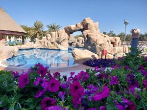 a pool in a resort with purple flowers at Danat Al Ain Resort in Al Ain