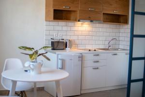 Kuchyň nebo kuchyňský kout v ubytování Villa Fantasia