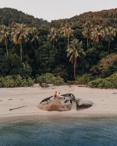 Fotografie z fotogalerie ubytování Adang Island Resort v destinaci Ko Lipe + 84 fotografií