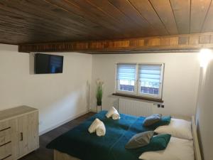 een slaapkamer met een blauw bed met kussens en een raam bij Apartament ELBRUS CZYRNA Szczyrk in Szczyrk