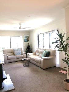 a living room with two couches and a christmas tree at Mangawhai Room in Mangawhai