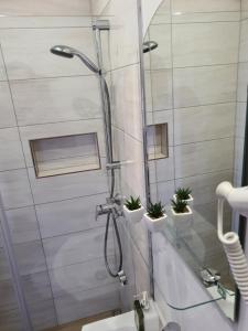 a bathroom with a shower with potted plants on the wall at Jasna Hotelik self check-in in Warsaw +32 photos