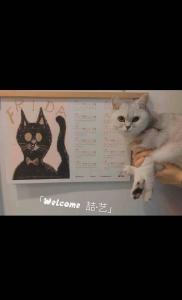 a picture of two cats sitting on a menu at Zhe·Yi Boutique Guesthouse in Beijing