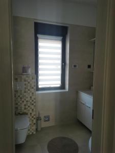 a bathroom with a window and a toilet and a sink at Apartmani Nika in Rijeka