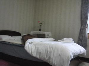 Postel nebo postele na pokoji v ubytování B & B Nishimine
