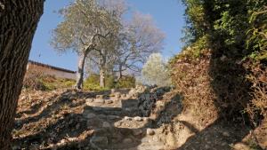 瓦朗索尔Les Chambres d Hôtes de Valensole au pays des lavandes et proche des Gorges du Verdon的相册照片