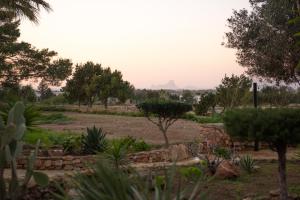 a garden with trees and rocks and a field at Apartamentos Vista Vedrá in La Savina