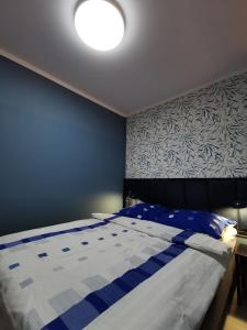 ザブジェにあるMISVEST Karol IXの青い壁のベッドルーム1室