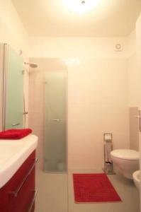 a bathroom with a shower and a toilet with a red rug at 4 Star app Adriana with sea view and jacuzzi in Zambratija