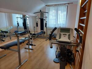 Fitnesscenter och/eller fitnessfaciliteter på Boryka Family Hotel