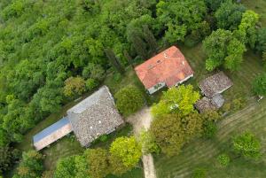 Příroda nedaleko bed and breakfast