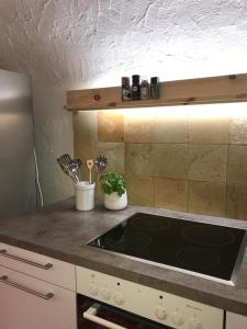 eine Küche mit einer Spüle und einer Arbeitsplatte in der Unterkunft Haus Buol Bergün in Bergün