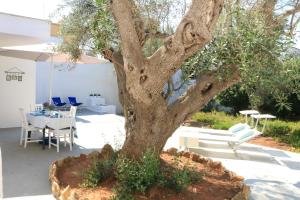 Un árbol en una maceta con una mesa y sillas. en Villa gli Ulivi con ampio giardino ed ogni comfort a pochi passi dal mare vicino Gallipoli, en Torre Suda 20 fotos más
