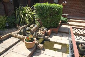 a garden with a small pond with plants and flowers at Chale Bay Farm in Ventnor