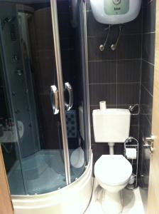a small bathroom with a toilet and a shower at Apartment AB Batala in Dubrovnik