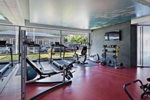 Γυμναστήριο ή/και όργανα γυμναστικής στο Vernescu Luxury Residence